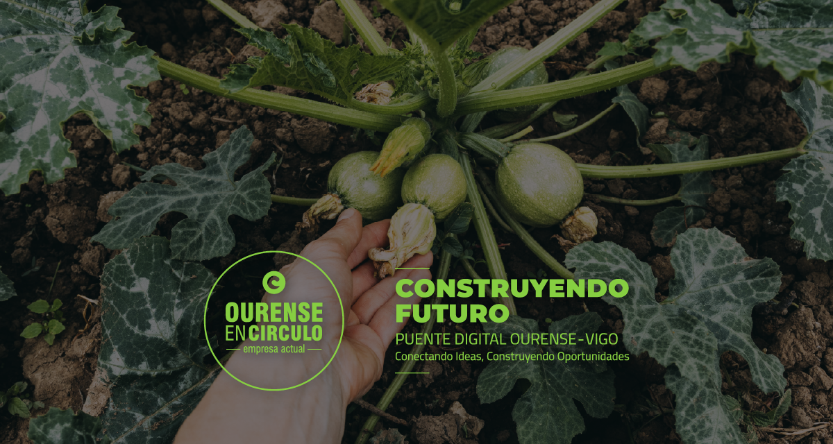 DEL CAMPO AL MUNDO