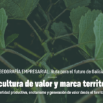 GEOGRAFÍA EMPRESARIAL: VITICULTURA DE VALOR Y MARCA TERRITORIAL