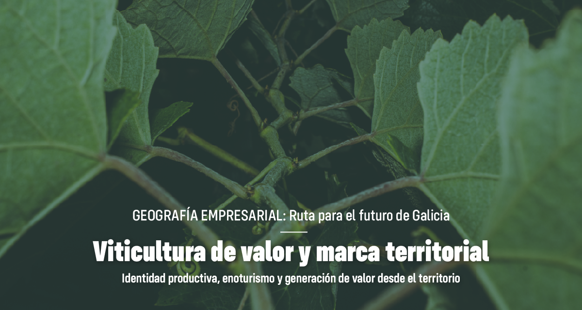 GEOGRAFÍA EMPRESARIAL: VITICULTURA DE VALOR Y MARCA TERRITORIAL
