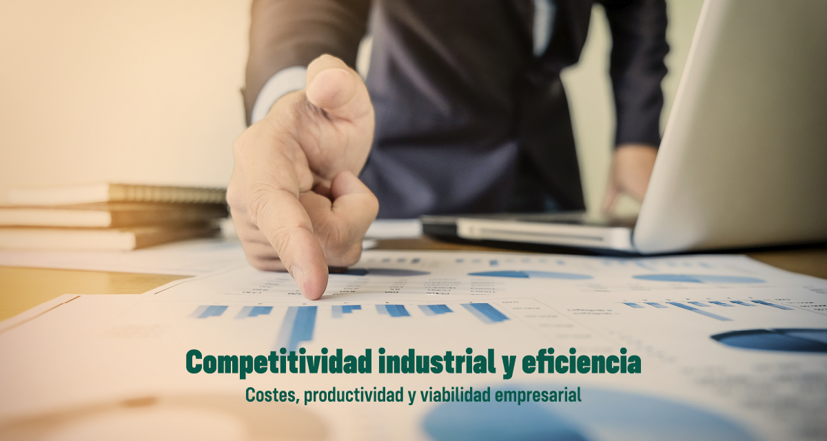 GEOGRAFÍA EMPRESARIAL: COMPETITIVIDAD INDUSTRIAL Y EFICIENCIA